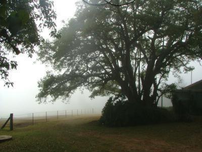 Hillview Cottages Kingaroy Esterno foto