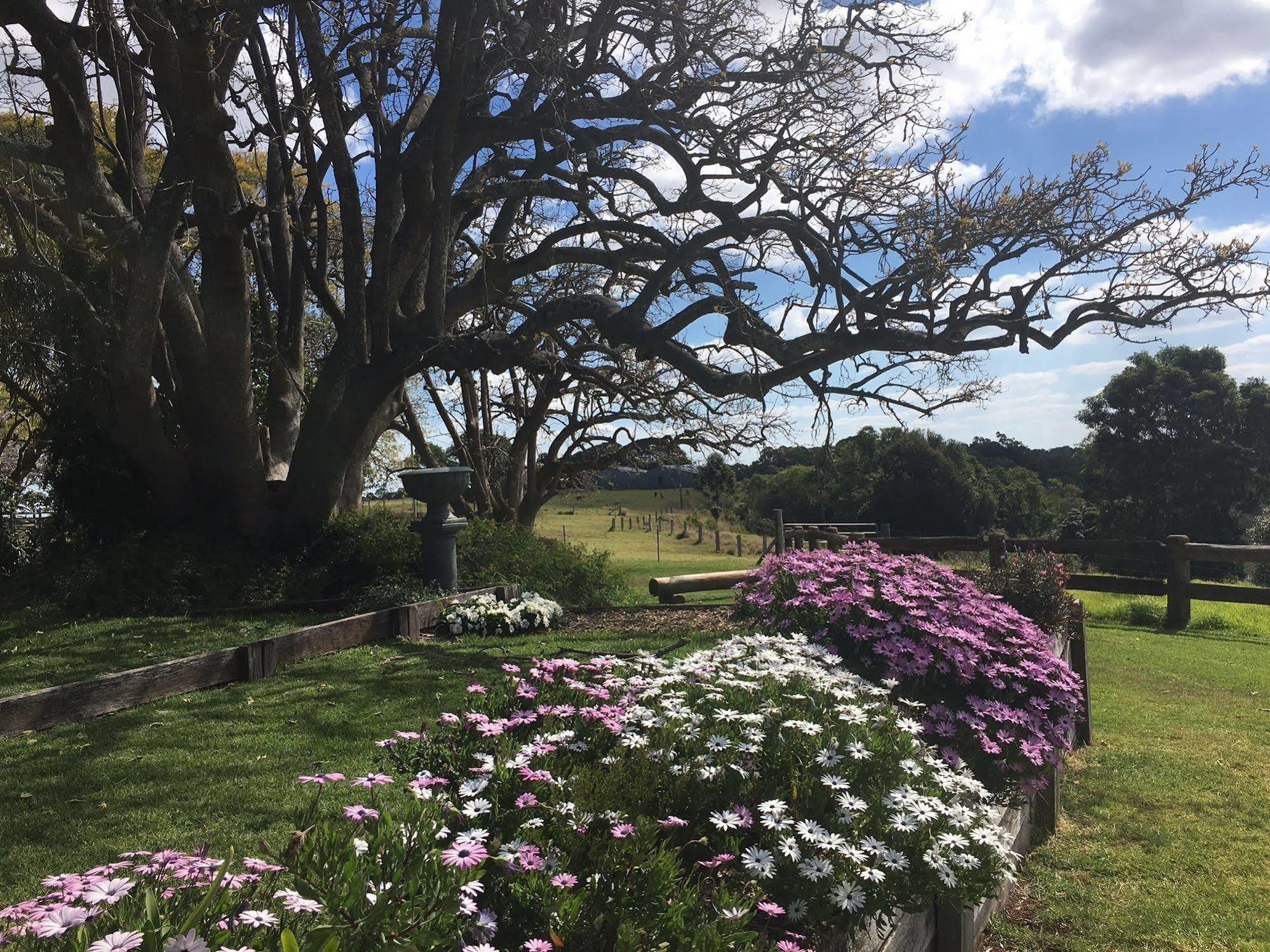 Hillview Cottages Kingaroy Esterno foto